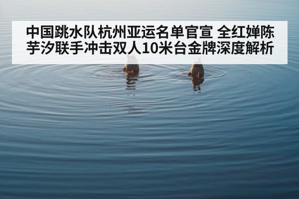 synchronized diving pair